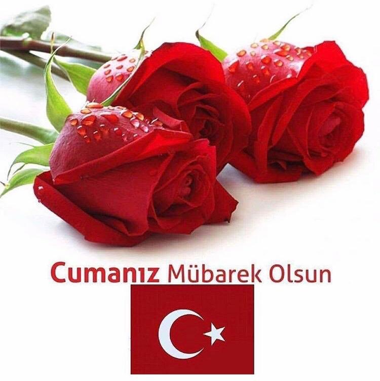 Rıza ÇAKIR (@53rizacakir) on Twitter photo 