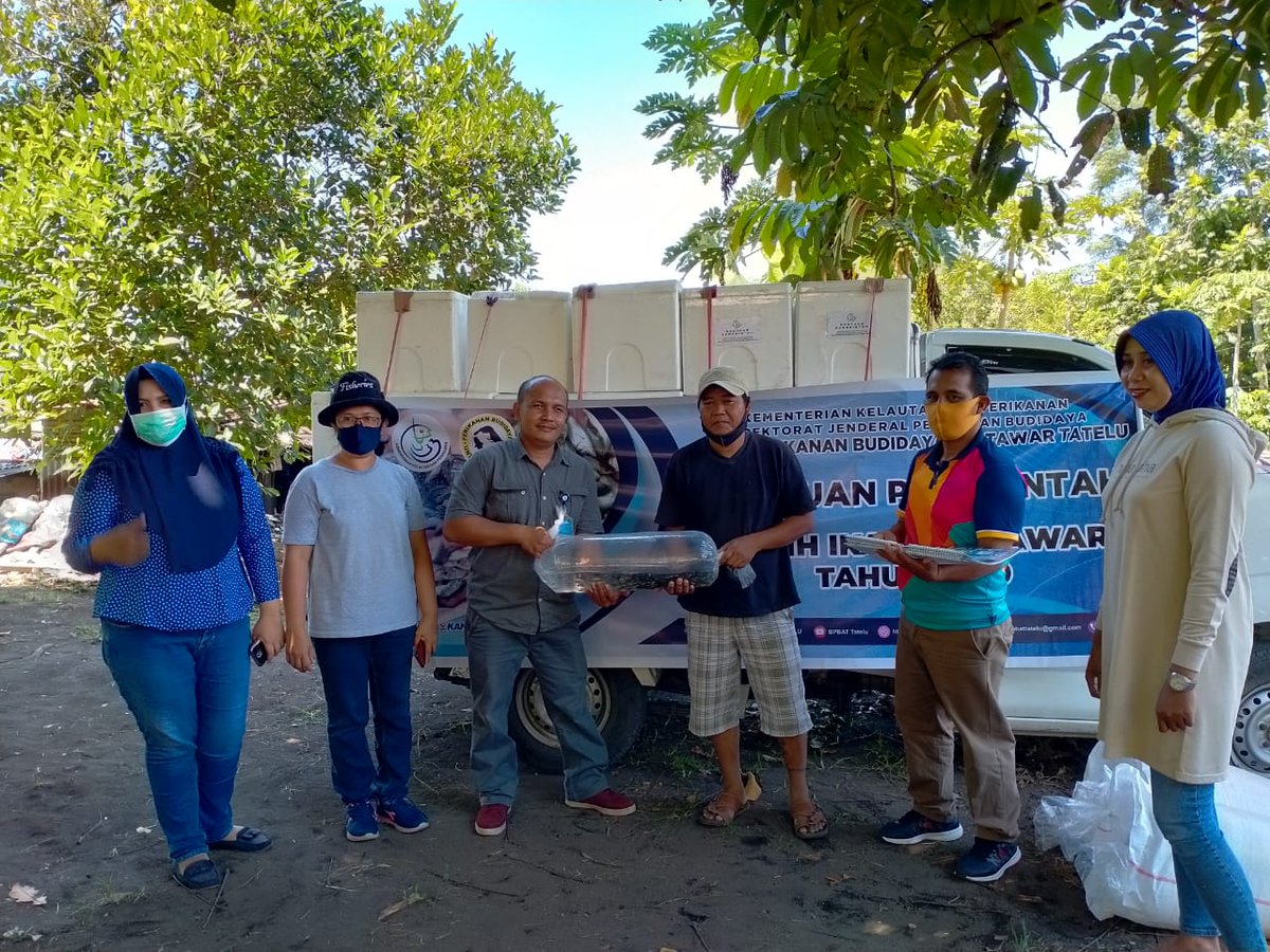 DJPB_TATELU's tweet photo. Berkolaborasi dengan Penyuluh Perikanan, Penyaluran bantuan Benih dan Calon induk Ikan nila di Kota Bitung berjalan lancar. @BudidayaKKP @s_soebjakto @Fernando_bbl https://t.co/j12zptEz7Y