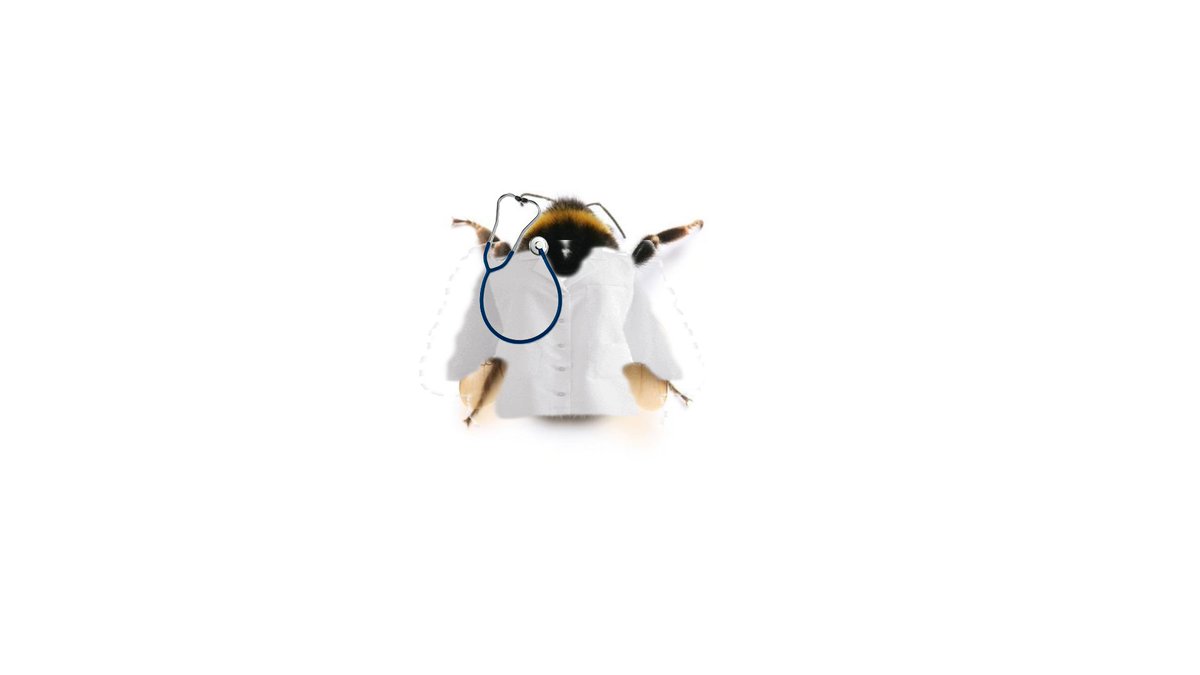 DrBumblebee2's tweet photo. #NewProfilePic https://t.co/Fll4WtD213
