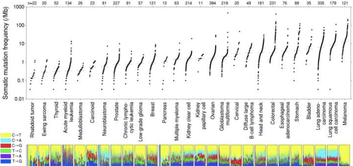 Lawrence et al had 3,083 tumor/normal pairs across 27 tumors, 2,957 whole-exome and 126 whole-genome