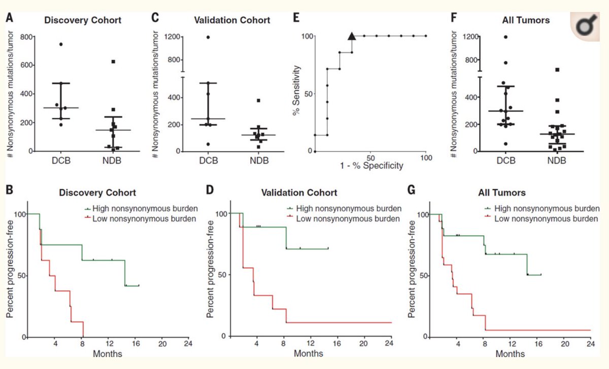 Rizvi et al showed that higher somatic non-synonymous mutation burden was associated with clinical efficacy of pembrolizumab (synonymous mutations not analyzed)High  #TMB defined as > 209 non-synonymous mutations/exome (come back to this later)