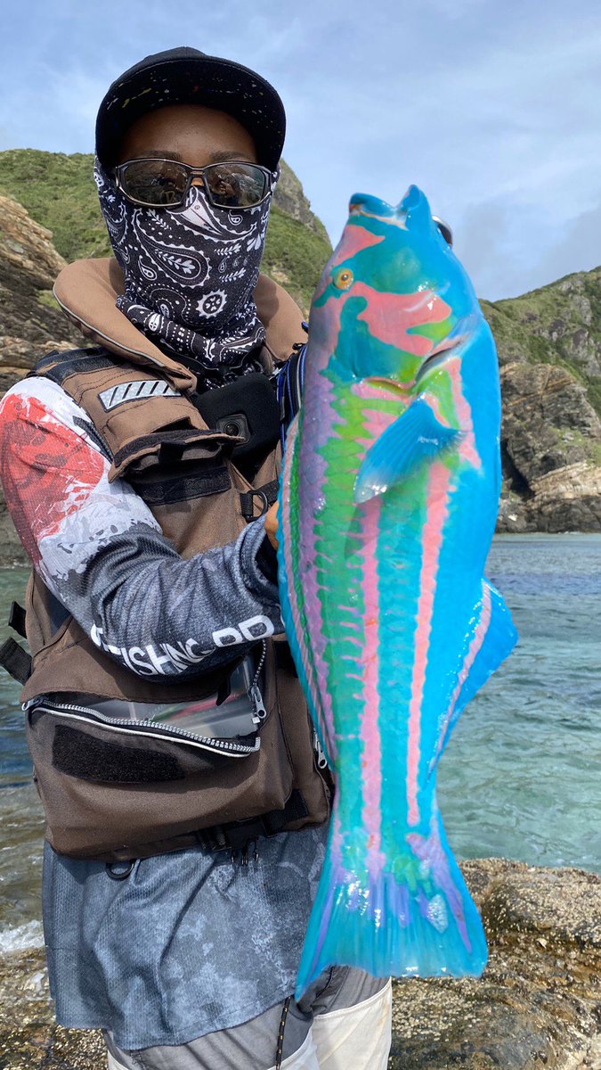 自然のものとは思えない極彩色の魚を釣り上げた男性のツイートが話題に すごく綺麗 塗ったのかと思った 食べられるの Togetter 自然のものとは思えない極彩色の魚を釣り上げた男性のツイートが話題に すごく綺麗 塗ったのかと思った 食べられるの Togetter