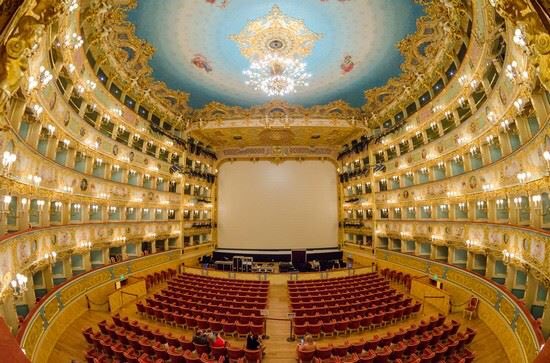 Javier Ibacache tweet media