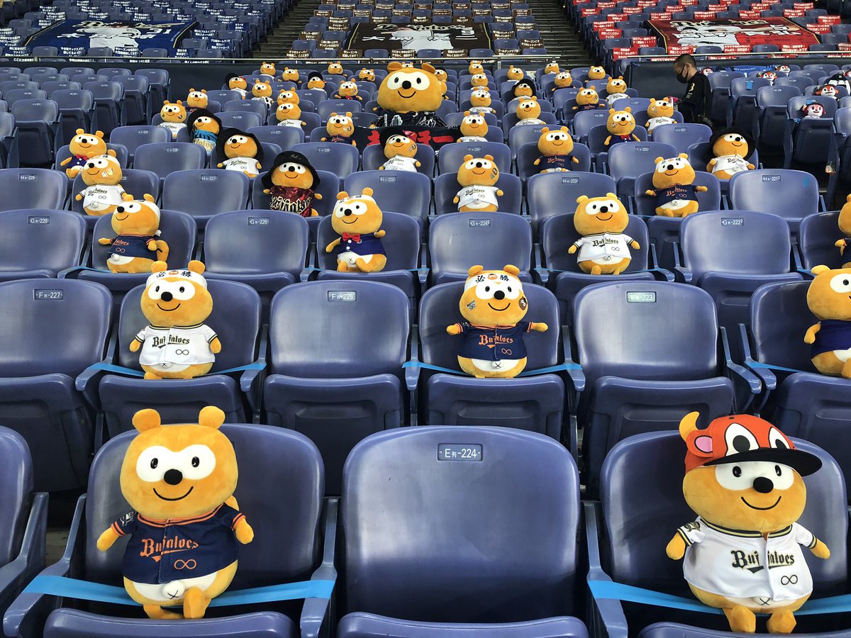 今日のむいむい ファウルボールで吹っ飛んでいくポンタビンゴ見たいから今夜はオリックス戦を見ようと思います