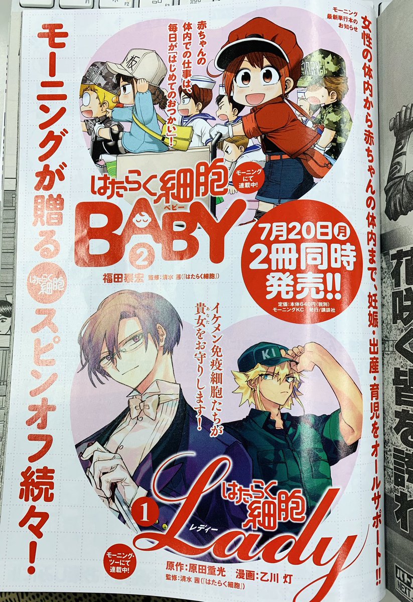 はたらく細胞lady 公式 Sur Twitter 細胞lady 巻7 発売 今週のモーニングを見てお気づきの方もいらっしゃると思いますが はたらく細胞lady 待望のコミックス 巻が7 月 発売決定 細胞シリーズ兄弟連載の はたらく細胞baby 巻と同時発売に はたらく細胞lady 公式 Sur Twitter 細胞lady 巻7 発売 今週のモーニングを見てお気づきの方もいらっしゃると思いますが はたらく細胞lady 待望のコミックス 巻が7 月 発売決定 細胞シリーズ兄弟連載の はたらく細胞baby 巻と同時発売に