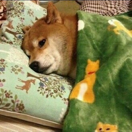 gaeldavila3's tweet photo. jamás pensé que lloraría de esta manera por un personaje de un videojuego, todos menos tu joel:( #TheLastofUsPartII https://t.co/xET1Q9iTbp