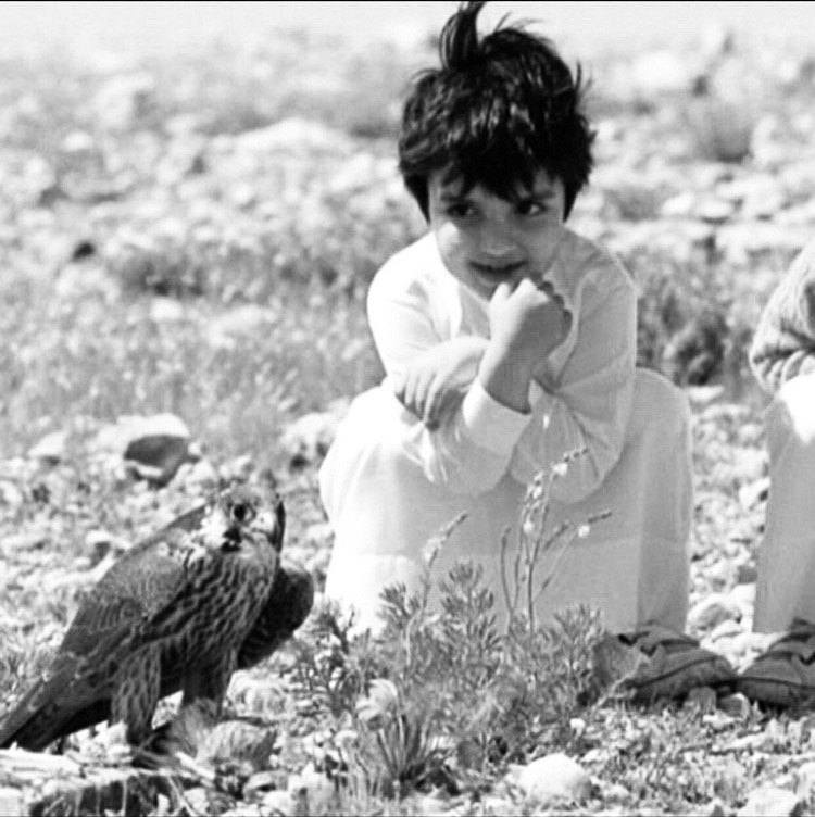 wdt__16's tweet photo. ياعين حرٍ لا أبرق الريـش مغوار 
حرٍ حشيم من وصوفٍ عـديمه . https://t.co/4BDhCJyOt5