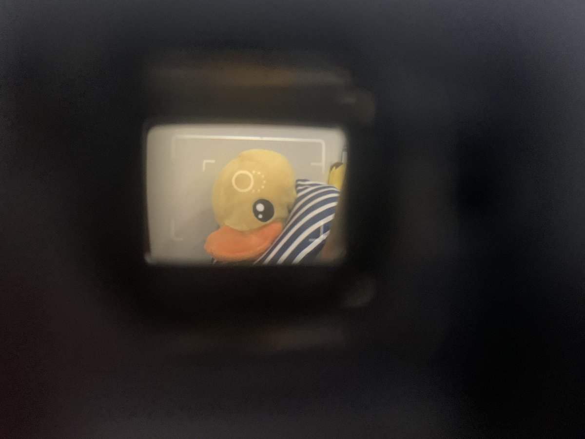 ptttrrrmmm's tweet photo. Konica 80Z-up SuperZoom
: กล้องคอมแพคระบบออโต้ แฟลชแบบป็อปอัพ ตั้งเวลาถ่ายได้ บันทึกวันที่บนรูปได้ จอแสดงสถานะต่างๆชัดเจน ใช้งานง่าย✨
- สภาพ90%มีริ้วรอยตามการใช้งาน
- เลนส์ 48-80 mm
- แฟลชเปิดปิดได้
- ถ่าน 2CR5 1ก้อน //แถมไปให้
ราคา 950-. #ส่งฟรี 
สนใจติดต่อ line : lemon_2546 https://t.co/xixcrz6wJp