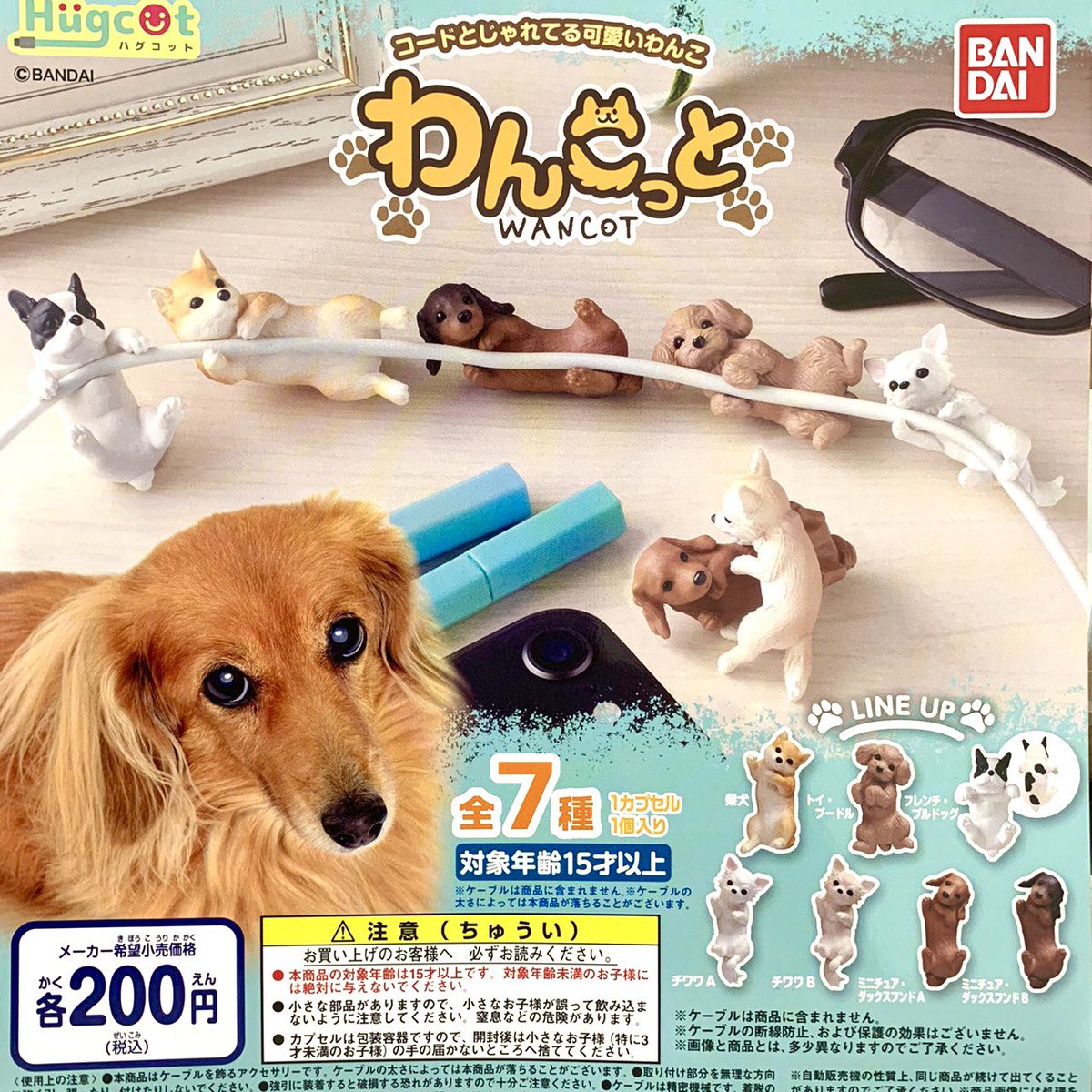 カプセル王国 ᴄᴀᴘsᴜʟᴇ ᴋɪɴɢᴅ ᴍ Sur Twitter わんこっと コードとじゃれてる 可愛いワンコ 全7種 わんこっと 充電器 コード ハグコット ガチャガチャ 犬好き 犬好きな人と繋がりたい 犬のいる暮らし カプセルキングダム カプセル王国 カプセル王国 ᴄᴀᴘsᴜʟᴇ ᴋɪɴɢᴅ ᴍ Sur Twitter わんこっと コードとじゃれてる 可愛いワンコ 全7種 わんこっと 充電器 コード ハグコット ガチャガチャ 犬好き 犬好きな人と繋がりたい 犬のいる暮らし カプセルキングダム カプセル王国