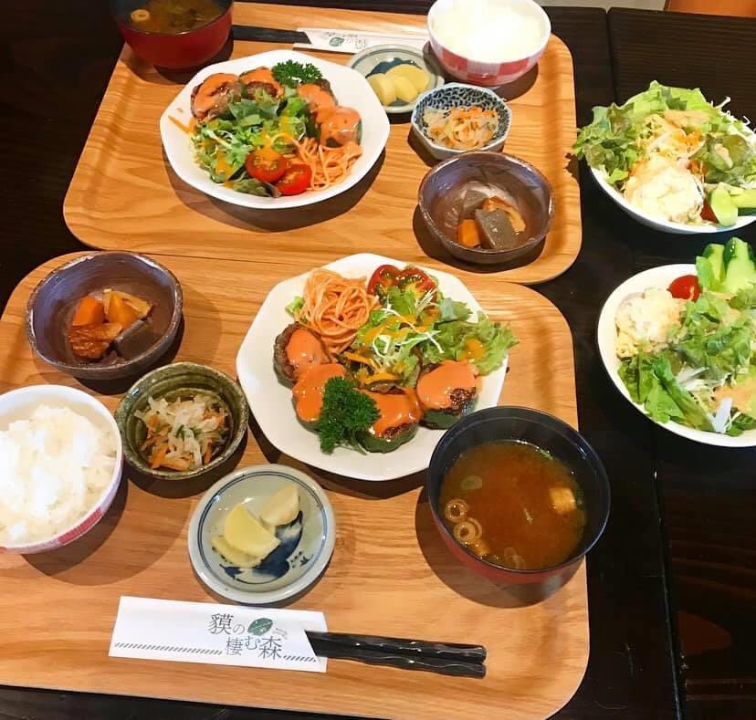 鯖江ランチ