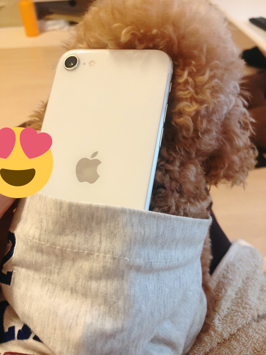 あゆむ ドラポとその他 Mooooo Dorapo Twitter あゆむ ドラポとその他 Mooooo Dorapo Twitter