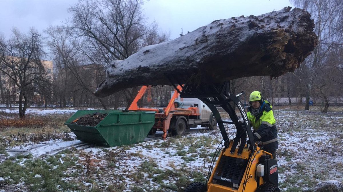 📍 Moscow, Russia

Do you also want to speed up your workflow, while reducing labour and support the #socialdistancing policy?

sherpaminiloaders.com