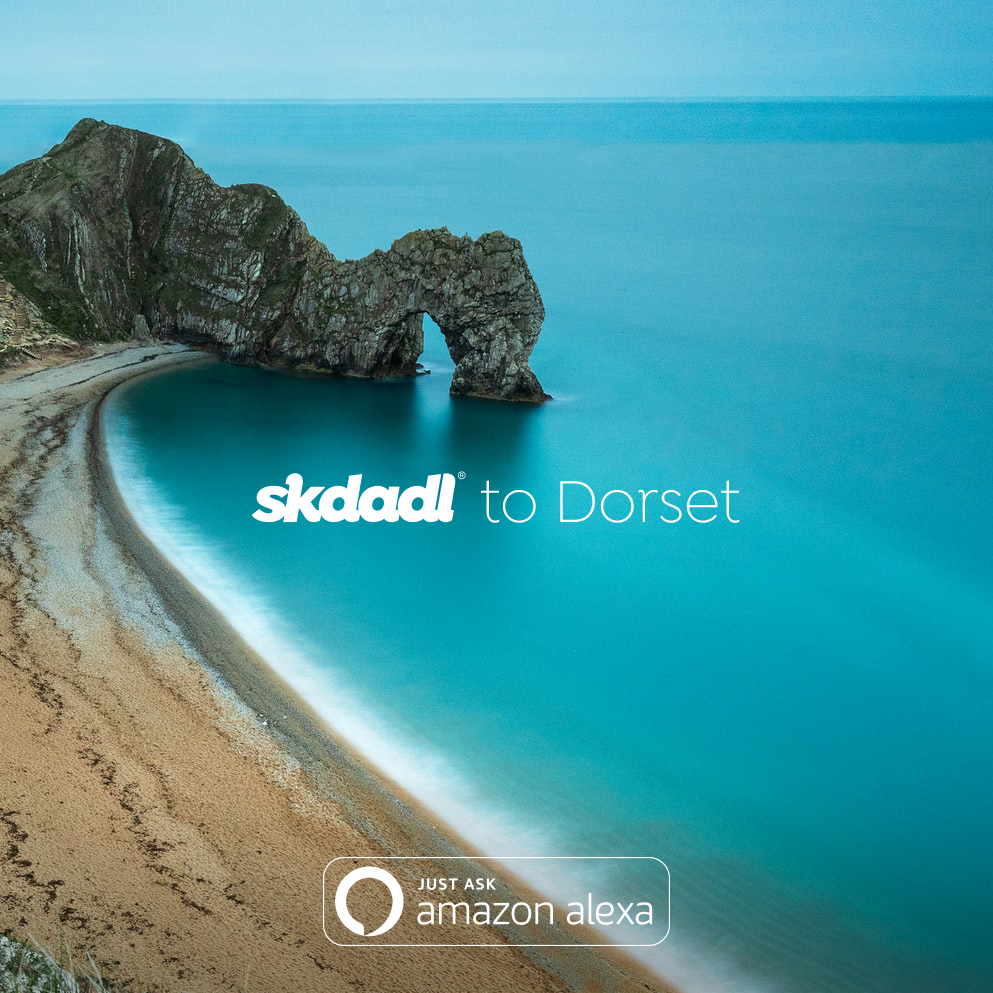 Skdadl Voice tweet media