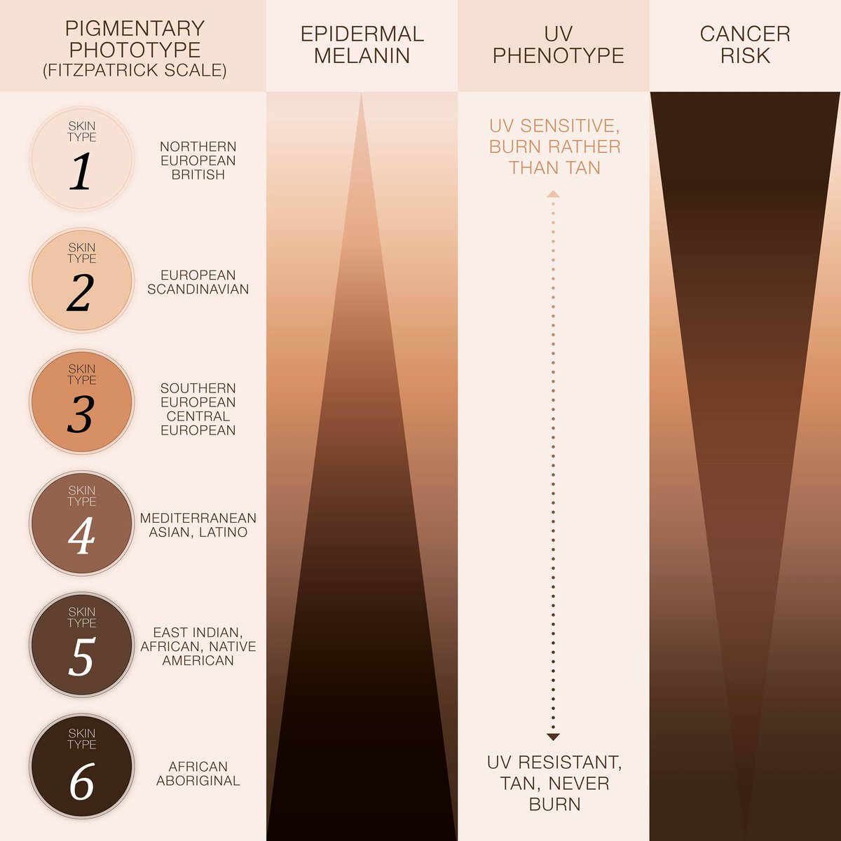 SkinBodyRenewal's tweet photo. Ever heard of the Fitzpatrick scale? Developed in the 70s by a famous dermatologist, but still used to this day, it’s a numerical way to classify different skin colours https://t.co/GhBcoMOpUi
#SkinRenewalSA #BeautySouthAfrica #beauty #skin #darkskins #fitzpatrickscale https://t.co/8Rb5mndoYk