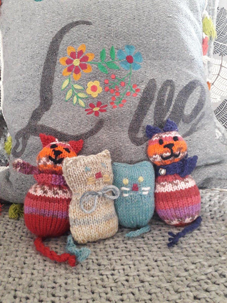 ElinorFox1979's tweet photo. Some more caring cats coming your way 🐱💕@woodburnps https://t.co/Xcdp5ofkzU