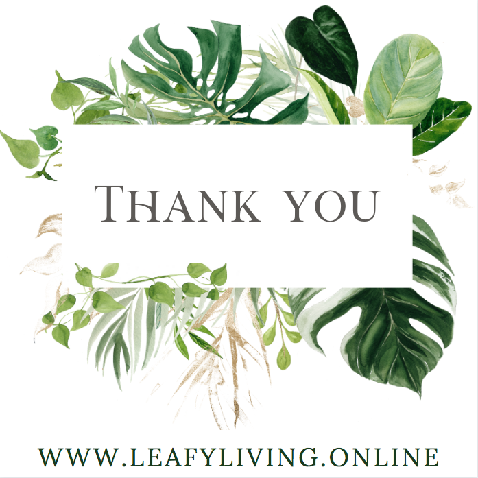 Lets_Get_Leafy's tweet photo. #FollowFriday and #ThankYou to everyone who has supported Leafy Living over the past week 🌿 @LydiaSRusling @SkegnessLisa @bleating_lamb @seanski44 @RobJonesPUSB @BusinessIntelHQ @Bailgatelincoln @LincsConnect @The_Cabbage101 @clairefb12 @Firecracker_RL @Dannygillchef https://t.co/Y4kjEeryJ9