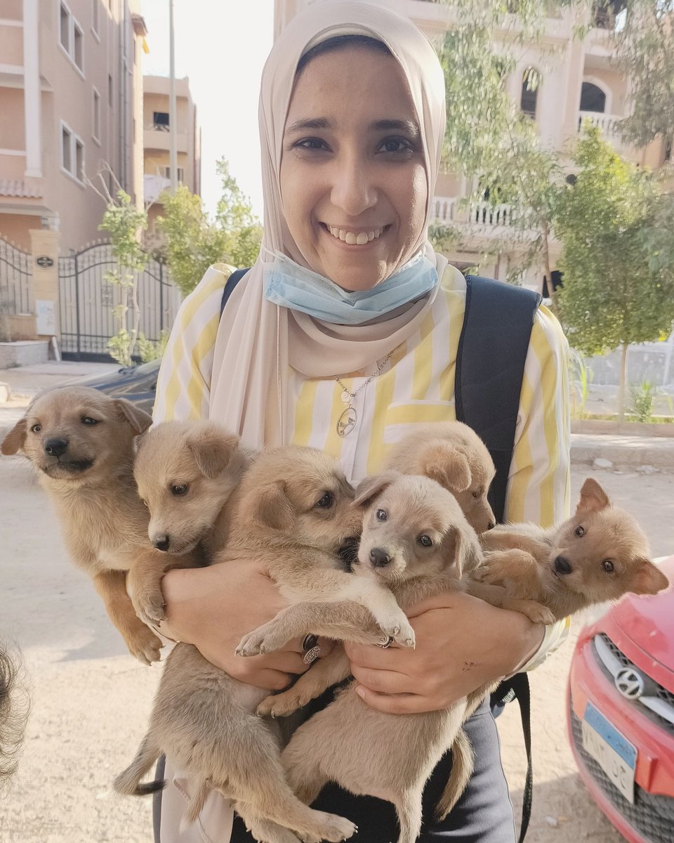 asmarefaat01's tweet photo. الكلبة اللي عندنا في الشارع وبأكلها ولدت وبعدين خبت ولادها ولما كبروا شوية طلعتهم وجابتهوملي ⁦❤️⁩ https://t.co/dK8VbNMasE