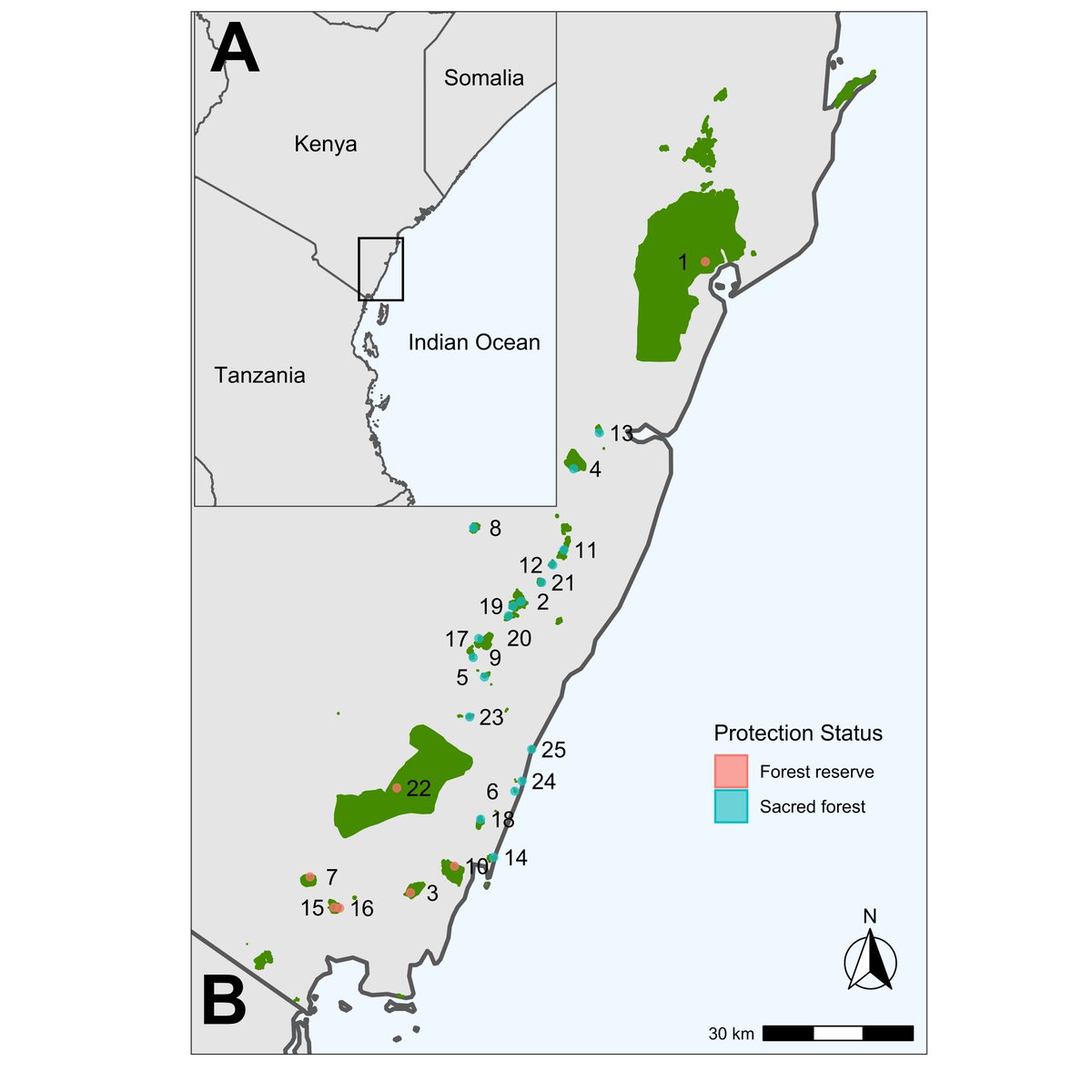 The first vegetation-plot database for the Coastal forests of Kenya is out (Fungomeli et al. 2020). An intriguing biodiversity hotspot in the Tropical rich African forests. #biodiversityconservation #kenyabiodiversity #conservationscience #unibo #nationalmuseumsofkenya #iavs