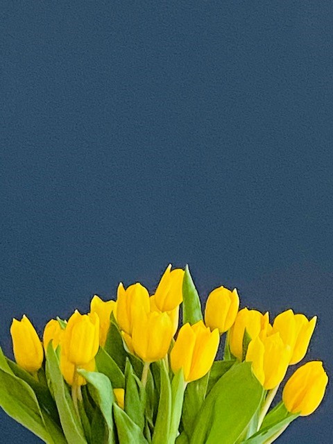 stmarys_prep's tweet photo. Well done to all the pupils who sent in entries for the 'Nature' photo competition as part of our #stmaryslearningathome. Some amazing photos! Congratulations to April, who won 1st & 3rd Place with 'Pebbles' & 'Daffodils' respectively & Anna for finishing runner up with 'A Bee'. https://t.co/TNRYeSIv8b