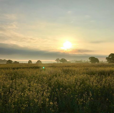 chichesterharbo's tweet photo. It's the longest day - and there is the sunrise! https://t.co/GFLDQDjbBq