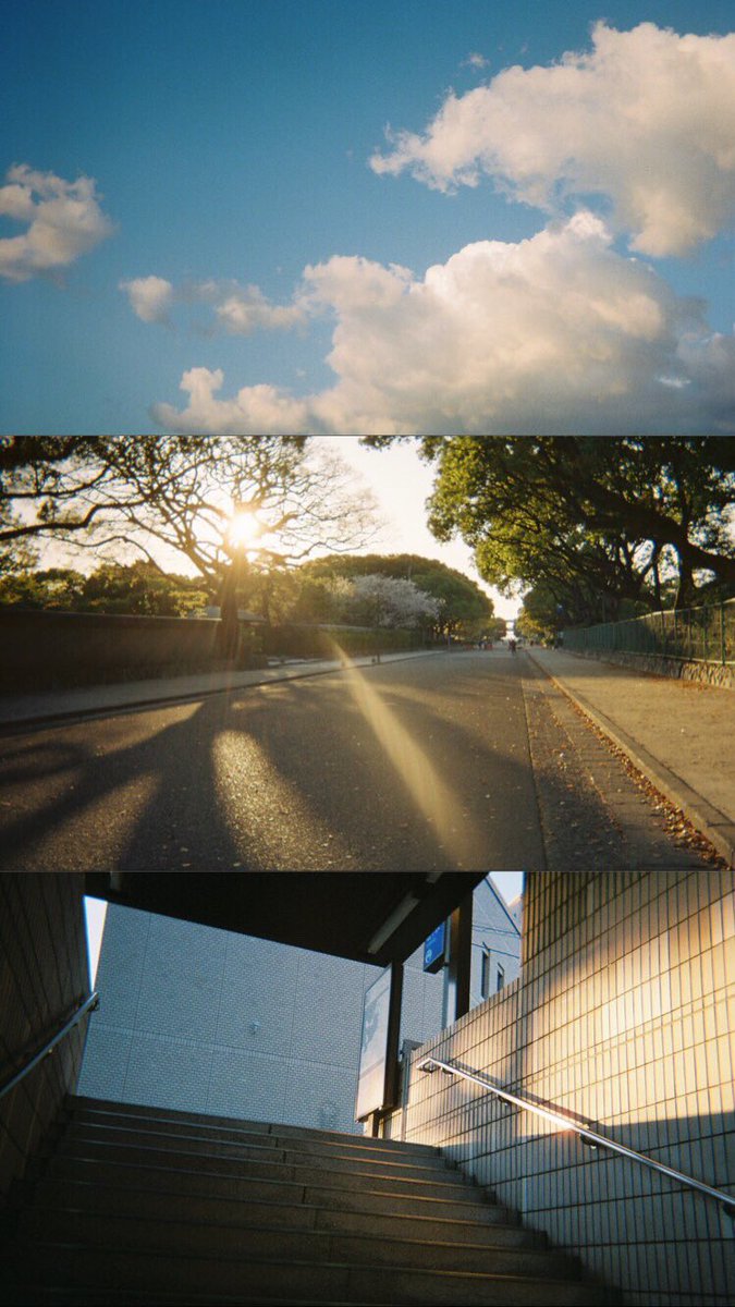 masao_16's tweet photo. 金曜うれしい。お酒飲む。
#Kodak #photography https://t.co/RG7RKgz8fo