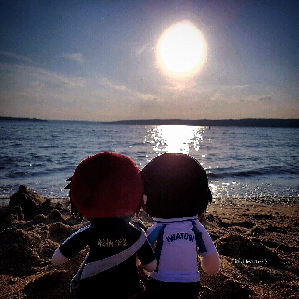 PinkHeart623's tweet photo. #30daysofHR #sharkbait #30daysofHRmerch #thedestinedpair  #HaruRin #RinHaru #sabaprince #free 
🌸❤️💙🌸 #latepost #day19    
@Art__Kino @KiraYamato44  @eripRH @SHaRKxym ... 
#HappyFriday #HelloWeekend #June19th #RHforever https://t.co/bilvdHkWk3