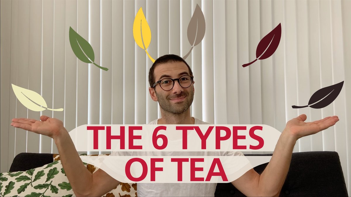 nannuoshan's tweet image. New on YouTube: youtu.be/z_PIfJgcWIo
The 6 Types of Tea—in 6 Minutes!

Matthias challenges Gabriele to give an overview of the main categories of tea, including names, history, and processing—in one minute each!

#teaknowledge #teatypes #explainathon