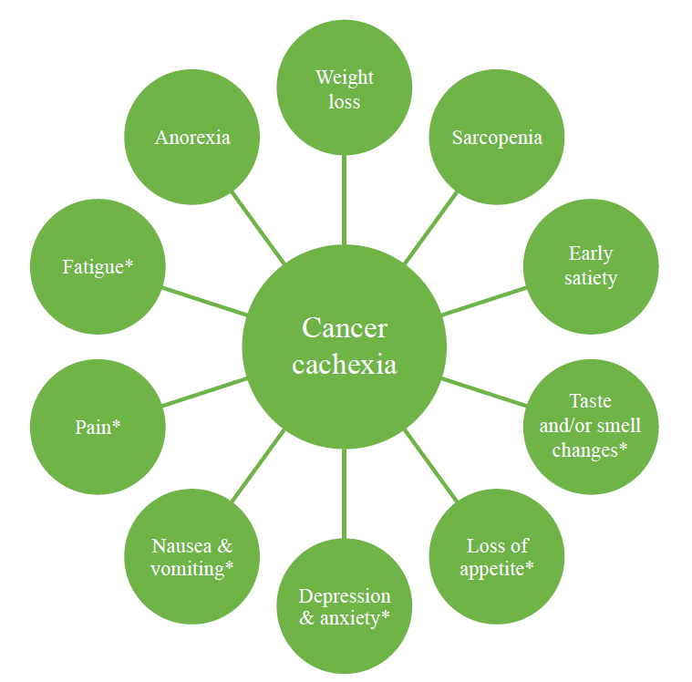 rajputdishank_'s tweet photo. #Cancer #Cachexia Market Global #IndustryAnalysis and Forecast 2019 - 2026 | @BostonBioTech @Novartis @pfizer This is a latest report, covering the current #COVID19 impact on the Cancer Cachexia Market. 
Read More: https://t.co/IjaQf5zulo https://t.co/Z8wGYDMWNt