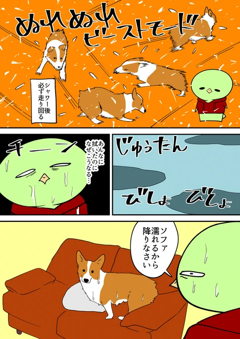 コーギーぬれぬれビーストモード 