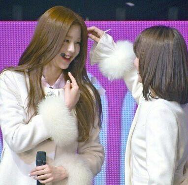 here's Yujin and Wonyoung being Sakura's babies: a thread