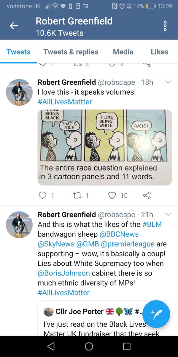 Everyday Racists *13. Robert's use of '# All Lives Matter' is a bit of an indicator, as is his 'love' for a cartoon which represents a world that doesn't exist but still outrages him. See also 'BLM bandwagon sheep' and the 'ethnic diversity' of the cabinet (ie no black people?)