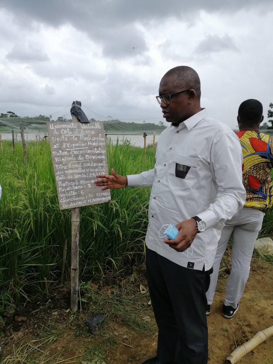 loboclem's tweet photo. Des #chercheurs de l'#UVCI dans leur champ de riz au bord de la #Comoe pour expliquer comment associer pedagogie et recherche action contre la #faim. https://t.co/4bn355A5K0
