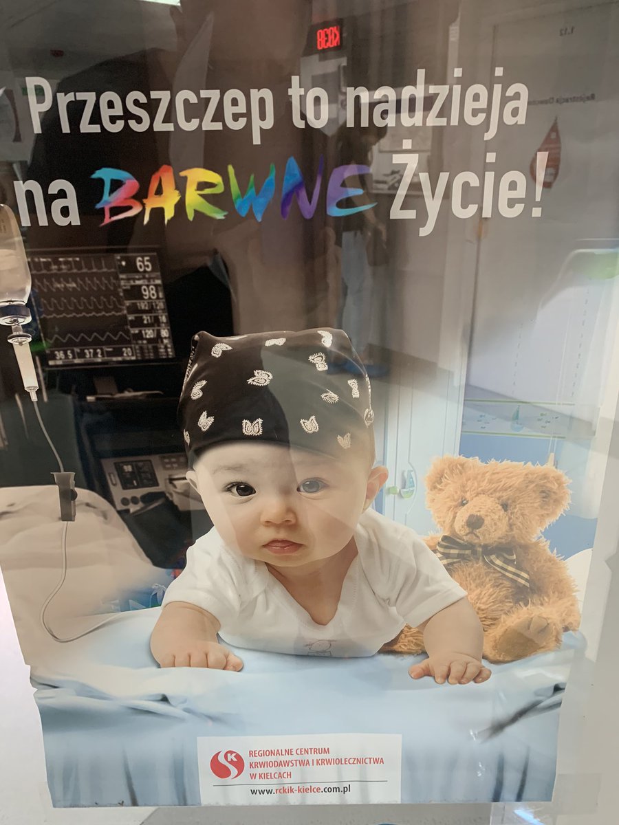 Arbuziasty1's tweet photo. Ha! #LGBTy ido po Wasze dzieci!😖 https://t.co/YmbWORTy55