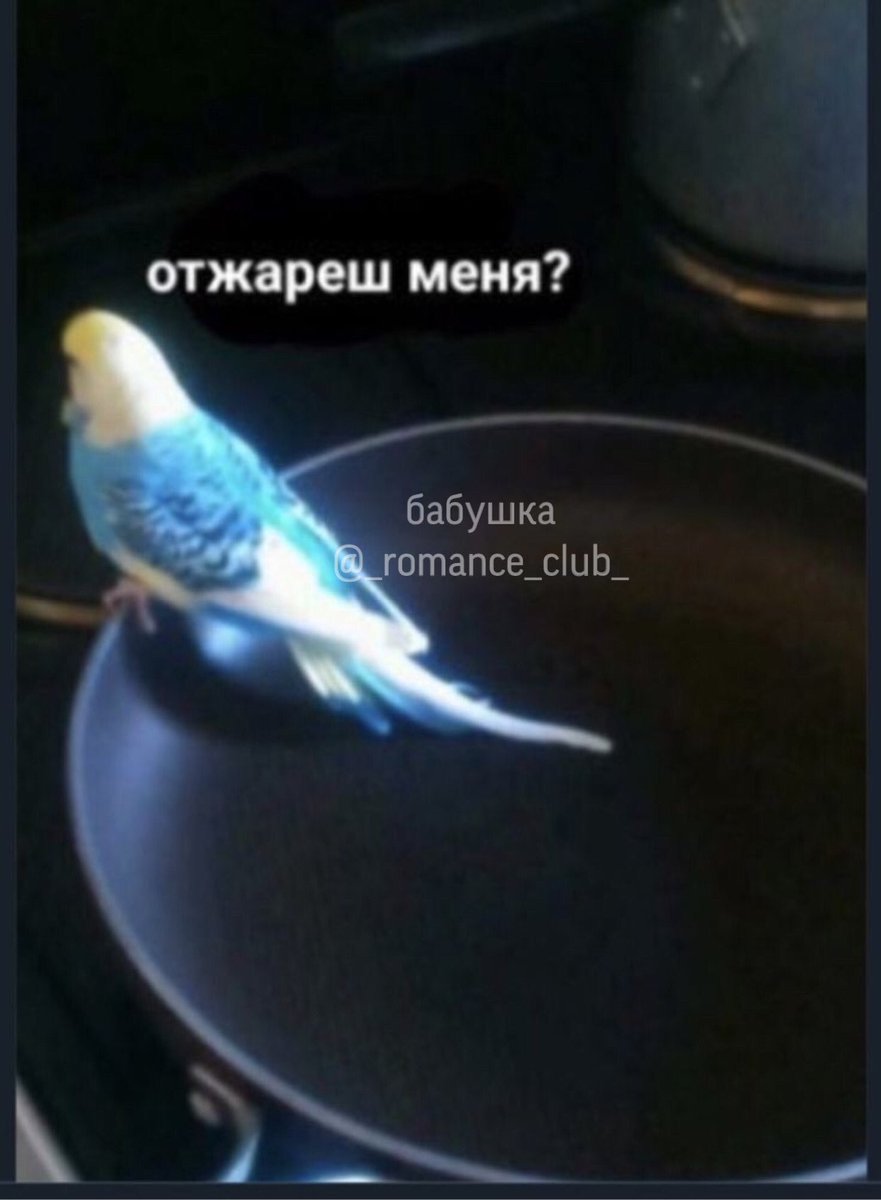 smetanailuk's tweet photo. я впервые                    я сейчас
читаю 18+ в кр            читаю их

#клубромантики https://t.co/xD1lbX4gc8