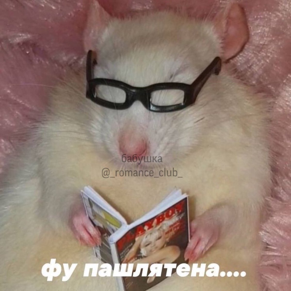 smetanailuk's tweet photo. я впервые                    я сейчас
читаю 18+ в кр            читаю их

#клубромантики https://t.co/xD1lbX4gc8