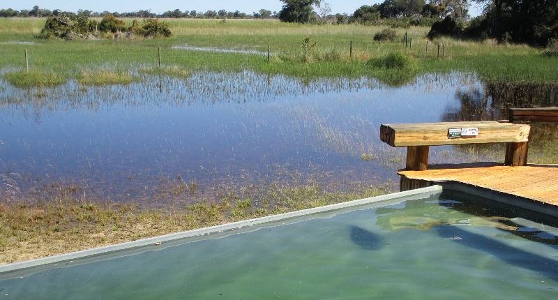 Go check out the latest <a href="/desertdelta/">Desert & Delta Safaris</a> camps update - some cool info on the #OkavangoDelta floods, the Savute Marsh Pride and the #ZebraMigration on the Boteti River.  desertdelta.com/camp-updates-j…