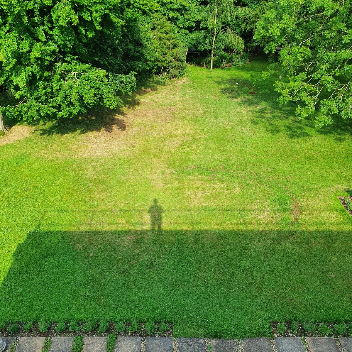 ControlTowerNC's tweet photo. Up on the roof... we heard we might get a glimpse of the @rafredarrows but they didn't come our way :(
However...
#ControlTowerProjects #lockdownlife #garden #ControlTower https://t.co/0gE6u61hyO