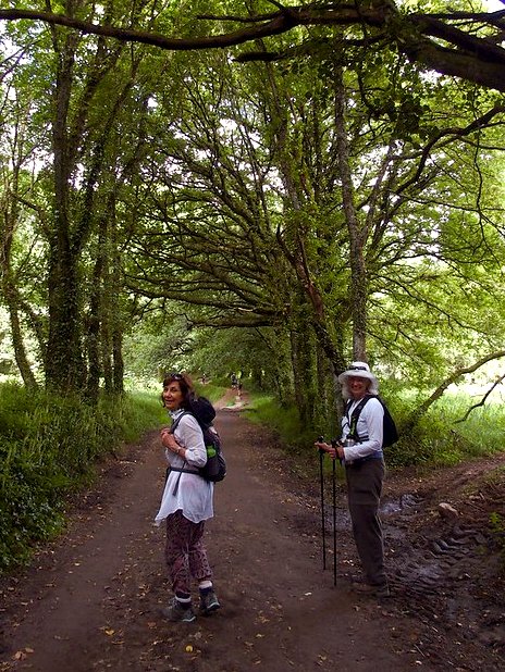 El Estado de Alarma termina mañana sábado a medianoche.
YA PODEMOS VOLVER AL CAMINO
Let's walk the Camino!

#caminoANDenglish #Turgalicia #Galicia #EsteVeranoHagoElCamino #EspañaTeEspera  #Verano2020 #QuedamosenGalicia #galiciamola
<a href="/stephenburgen/">Stephen Burgen</a> <a href="/spain/">Spain</a> <a href="/xornalistas/">xornalistas</a> <a href="/SerGalicia/">Cadena SER Galicia</a>