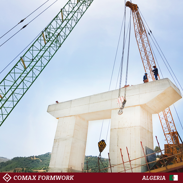 condor_formwork's tweet image. 𝗖𝗼𝗻𝗱𝗼𝗿 𝗙𝗼𝗿𝗺𝘄𝗼𝗿𝗸 for the construction of the RN1 Trans-Sahara Highway
The project is a portion of a broader network for the Trans-African highway, and will connect Algiers to Lagos (4,504 km)
➡️ condorspa.com
.
#Condor #Condorformwork #TransAfrican