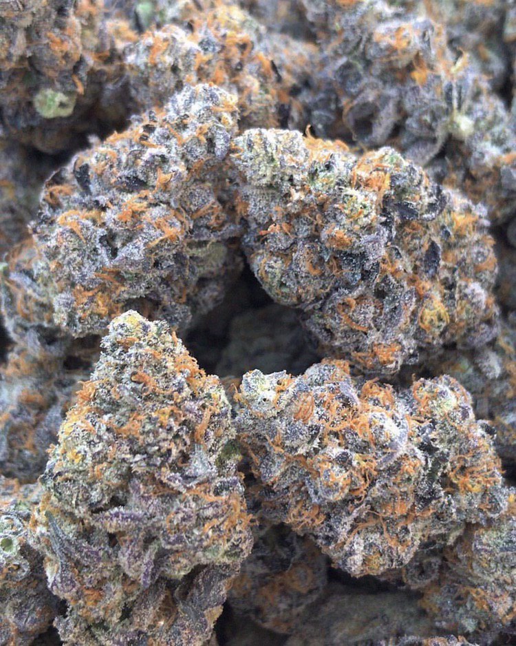 LmondoE's tweet photo. I can't really express my luv for weed 😍 what about u ? .

 https://t.co/SG1VAlWpEI

#stoner #stoners #stonernation #weed #weedlife  #ganjalove #ganjaclub #420daily #420everyday #420community #420family #cannabiscommunity #cannabisculture #cannabissociety #cannabislove https://t.co/rq4ciDFfR9