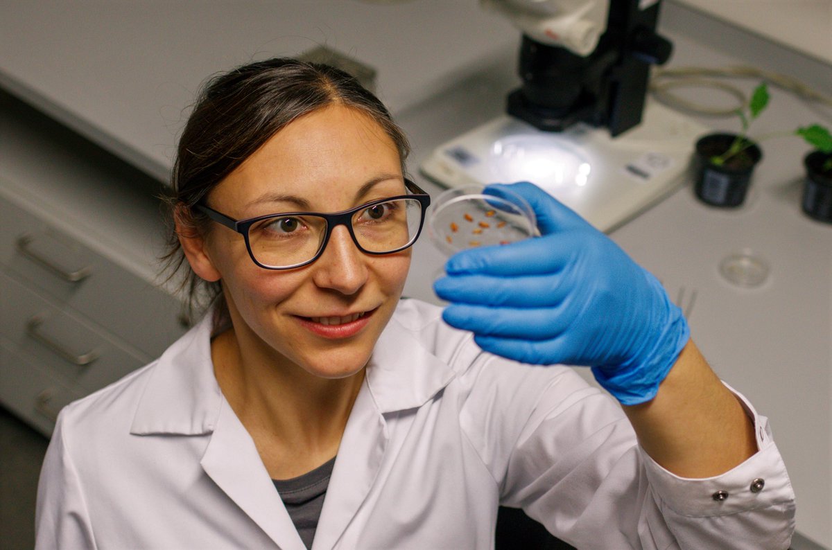 iDiv Biodiversity Research tweet media