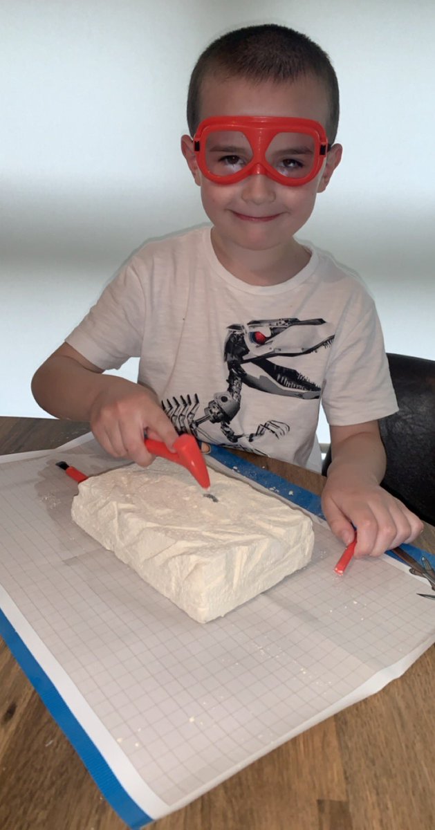 Chloe32842520's tweet photo. @OlsaPrimary
Joseph and his brother Jacob digging for some dinosaur bones.
Joseph’s new favourite hobby 🦖🦕
#dinosaurbones #diggingforbones #futurepaleontologist https://t.co/jM02cGfJGD