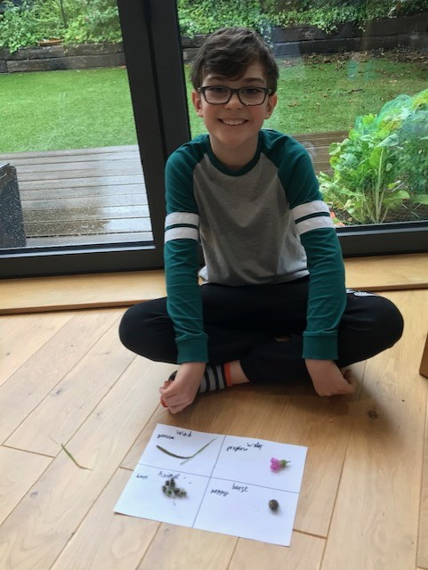 overleighY3's tweet photo. Sam went on an expedition to investigate seed dispersal, he was fascinated by the difference between plants. And as you can see he was delighted with his findings. Top stuff, Sam! https://t.co/FuYcBqVVNW