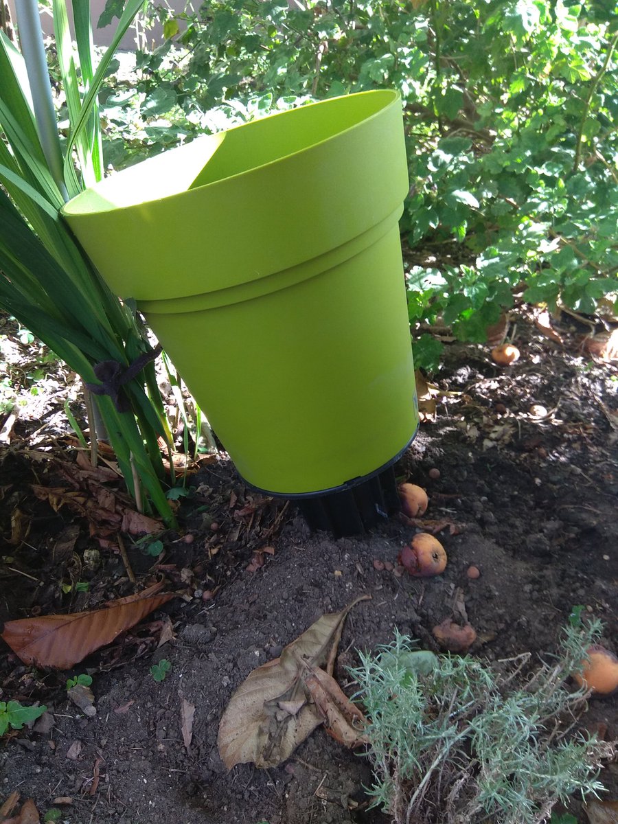 Nous avons récupéré les pots pour les potelets ( qui seront installés ultérieurement) ! Youpi. Notre projet de végétalisation et d'amélioration de notre quartier continue doucement (mais sûrement !)

#paris20 #vert