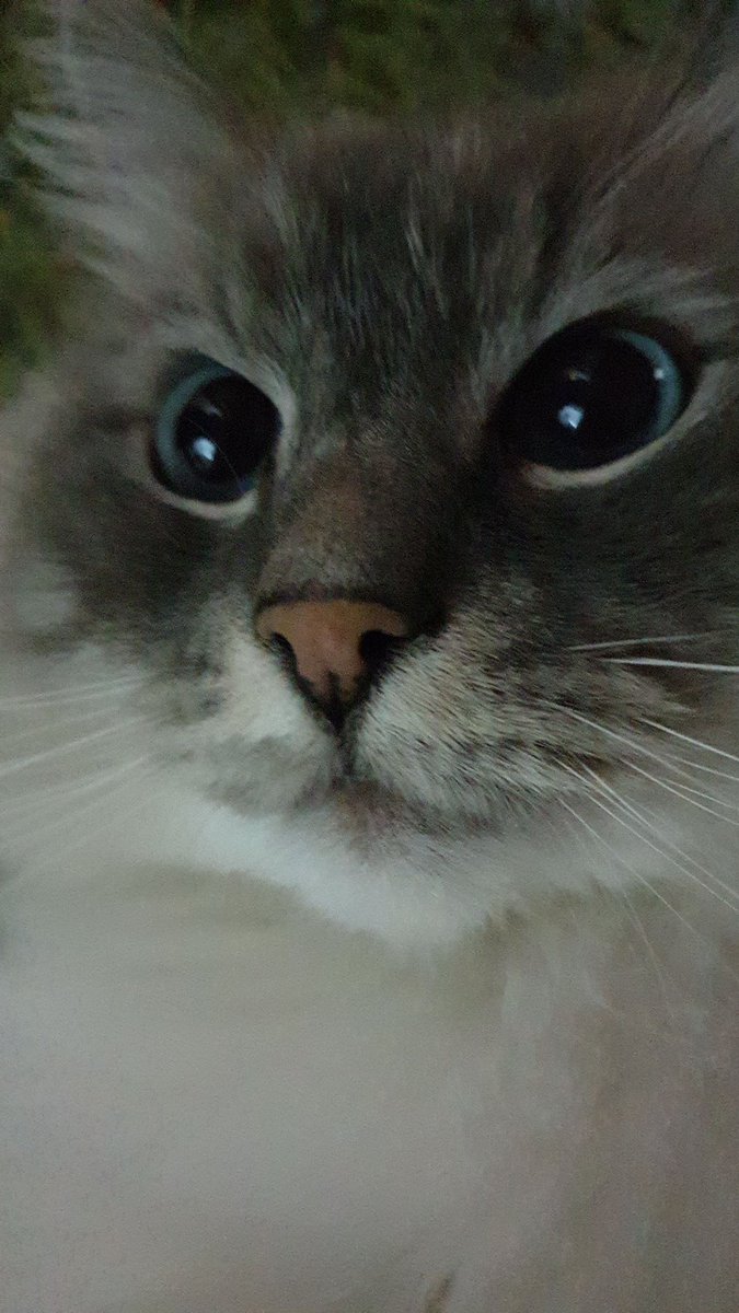 avenueelol's tweet photo. 😍 https://t.co/5RHRQqD1Q5