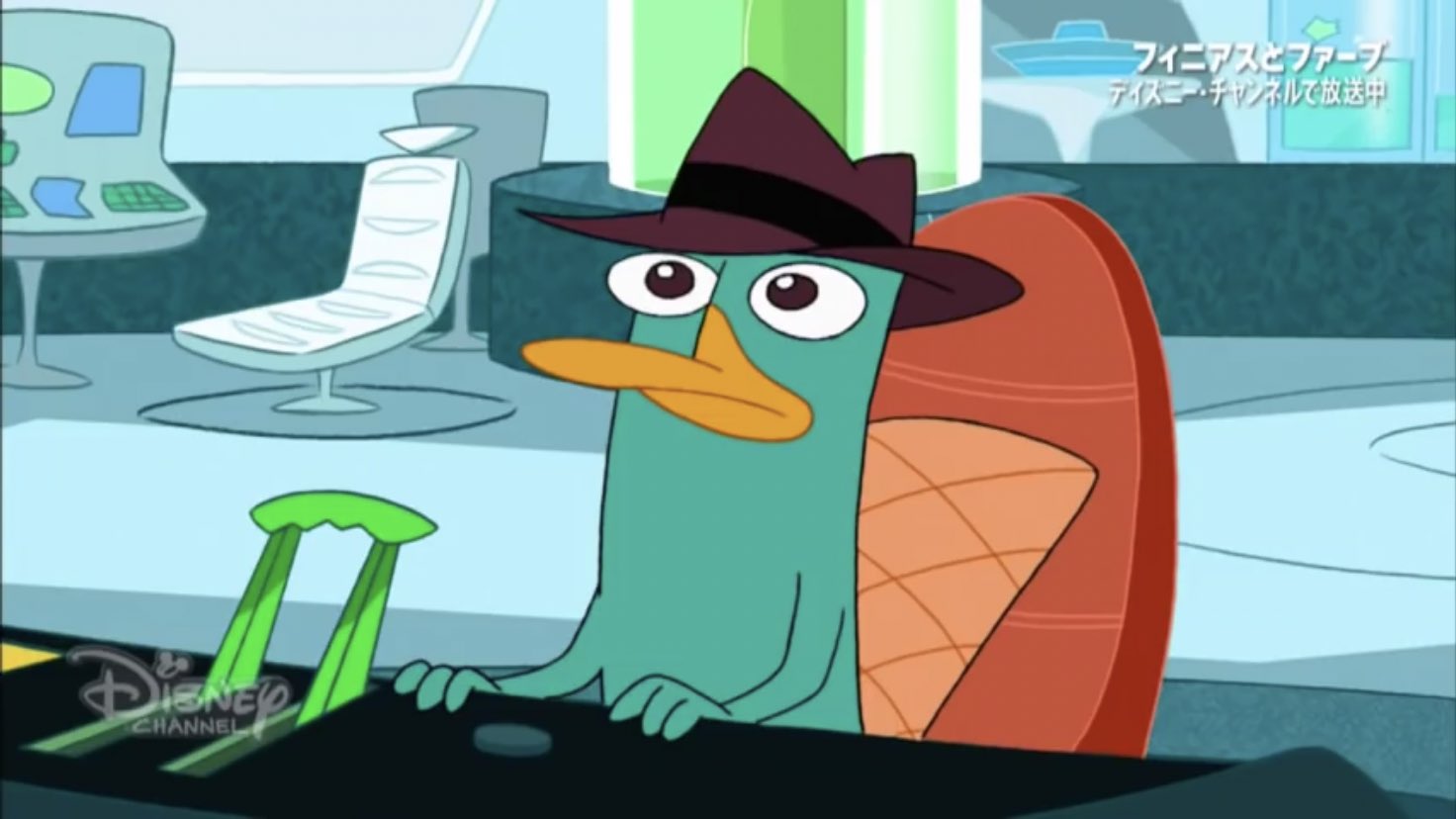 けんぴ ほくじぇと一緒に フィニアスとファーブ 語りたいくらいには大好きなアニメだったカモノハシペリー知ってるの親近感 T Co 0j6rbvljbj T Co K1gdtfuzhj Twitter