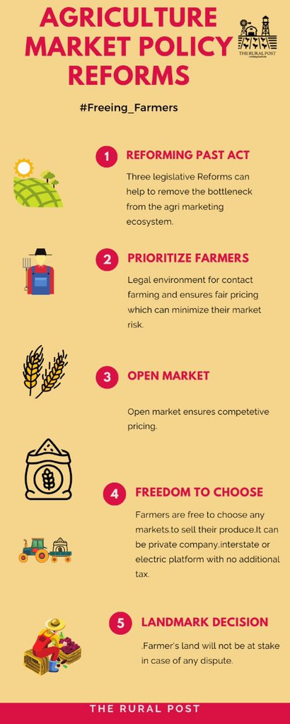 PostRural's tweet photo. Happy to announce our bipartite journal on agriculture market policy reforms! To connect the dots, we have the first part by @Srishti285, a management student and a TRP enthusiast. Follow this section on https://t.co/u1LC0SUqgg 
#TRPJournal #Agrimarket #MarketReform #RuralIndia https://t.co/jVyyel1DLq