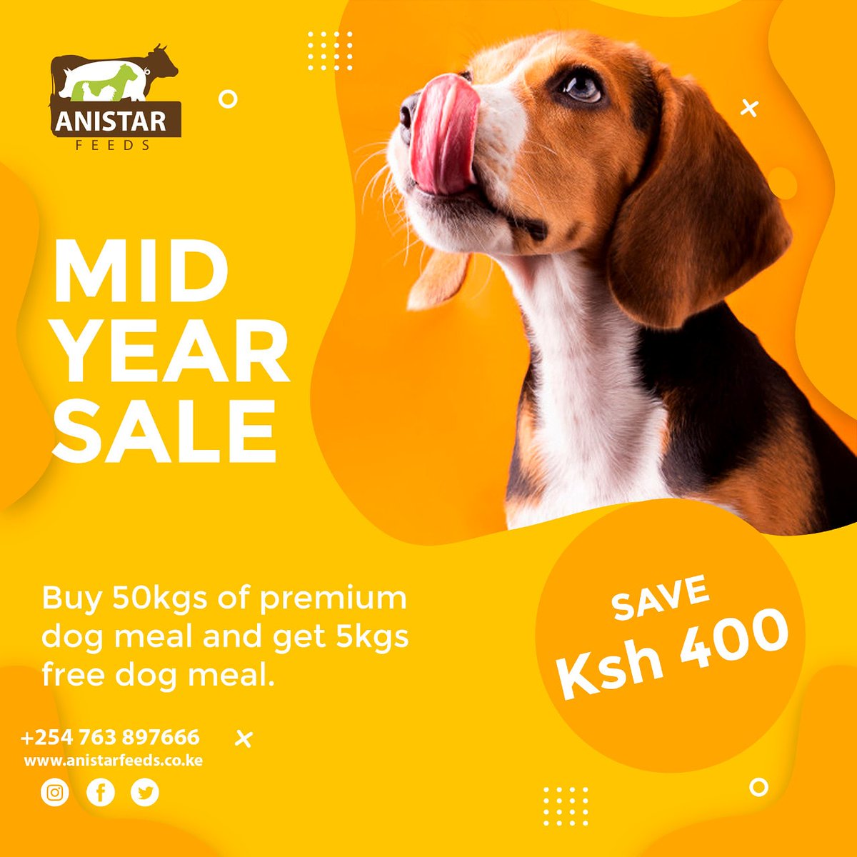 AnistarFeeds's tweet photo. Healthy meals, Happy dogs. Happy dogs, Happy owners. That's what you get when you buy our dog meal. Save upto 400/- with every purchase of 50Kgs Premium dog meal

#anistarfeeds

#KirinyagaNumbersSpeak
#ChebukatiExposed
#Jubilee_Asili
#MainaAndKingangi

Joho https://t.co/K4uobx8qHu