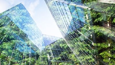 Go Climate Positive tweet media