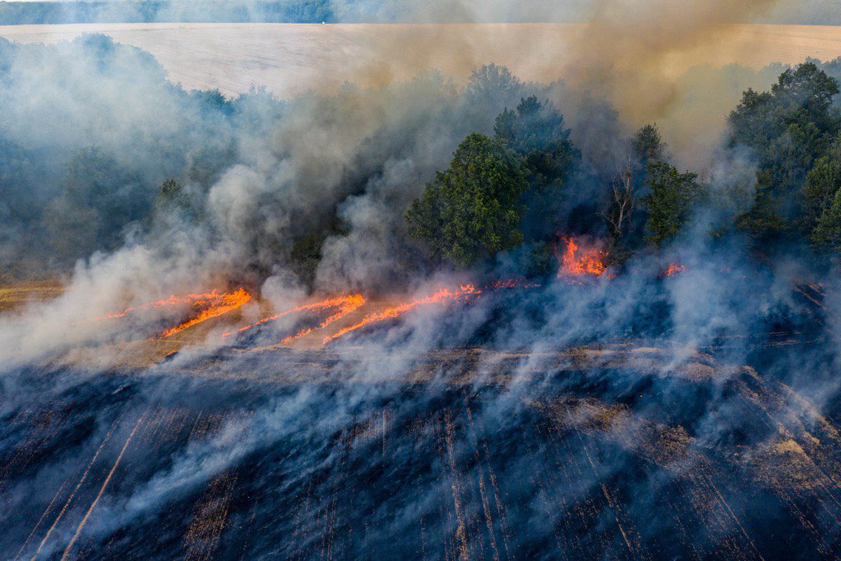 SecCivileFrance's tweet photo. #VendrediLecture 🔥🌾En fonction du type de culture, du nivellement, du vent ou des températures, les feux de surface agricole peuvent être difficiles à appréhender pour les sapeurs-pompiers. Découvrez le #PIO (partage d'information opérationnelle) dédié 👉https://t.co/be2t0xgasV https://t.co/R6cY0lC45P